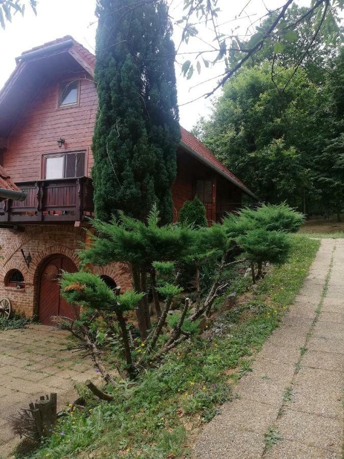 Mohas Vendeghaz Koszeg Mohas Ut 107 Hotell Eksteriør bilde